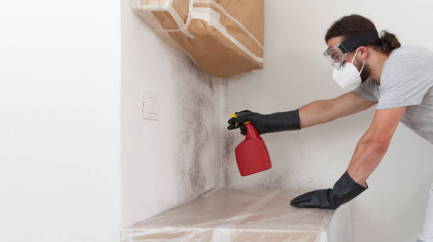 Professional Mold Removal technician working in Fairview, NY